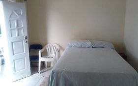 Cozy Queen Court Apt Constant Spring Road
